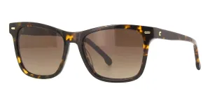 Carrera 3001/S 086HA