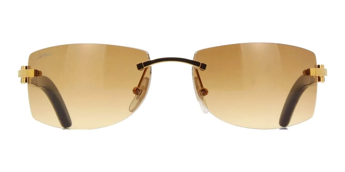 Cartier Buffalo Horn CT0017RS 001 5JS