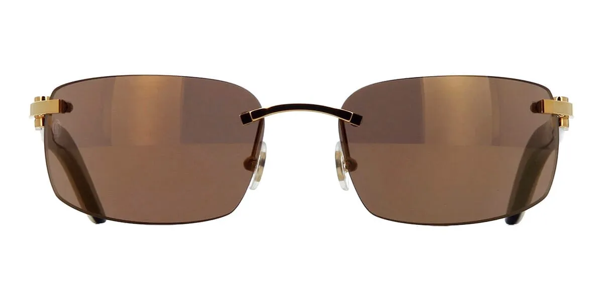 Cartier Buffalo Horn CT0046S 004 0LY