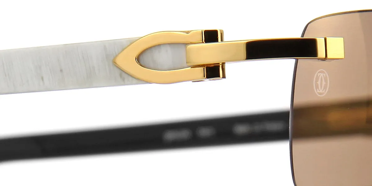 Cartier Buffalo Horn CT0046S 004 0LY