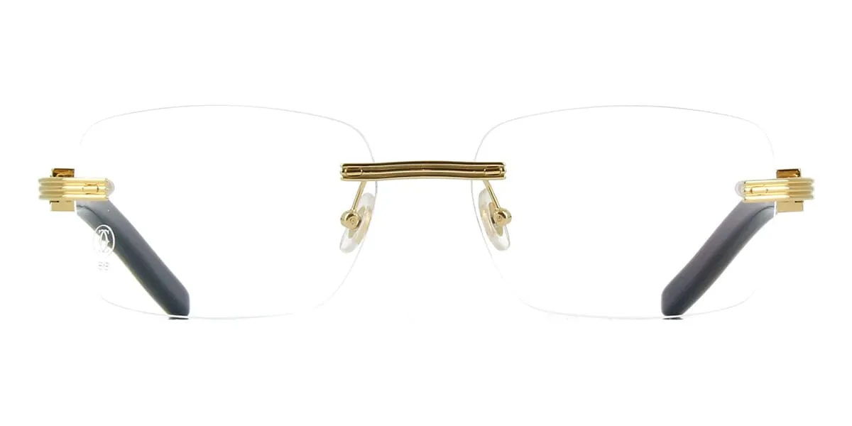 Cartier Buffalo Horn CT0286O 003 3D1