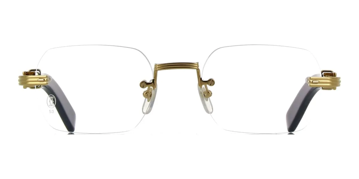 Cartier Buffalo Horn CT0377O 001 5G8