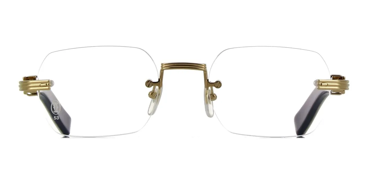 Cartier Buffalo Horn CT0377O 003 6H9