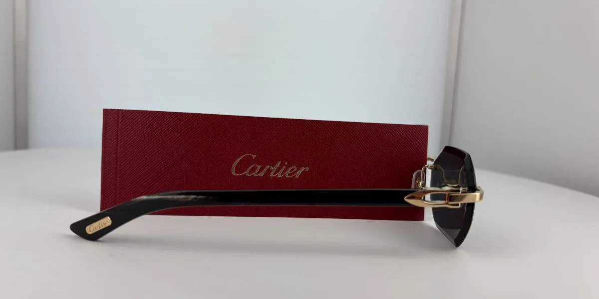 Cartier Buffalo Horn CT0439S 001 4CJ