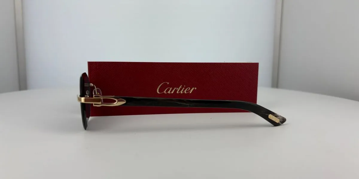 Cartier Buffalo Horn CT0439S 001 4CJ