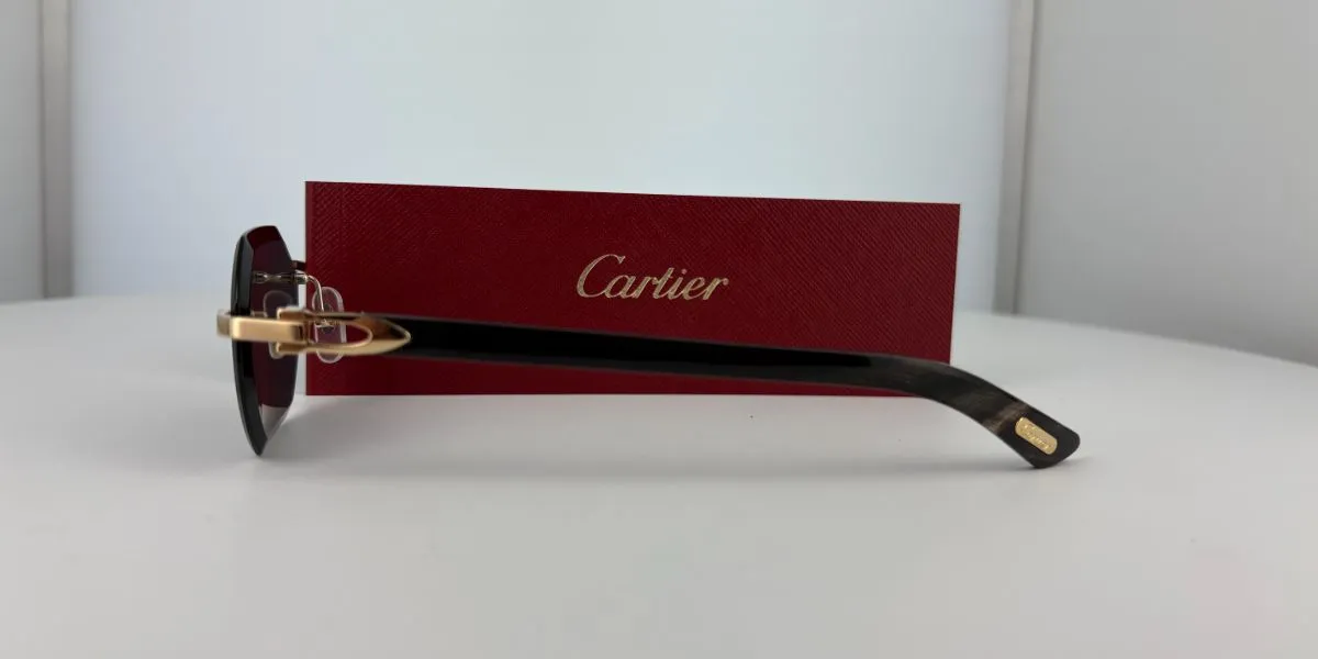 Cartier Buffalo Horn CT0439S 001 7CN