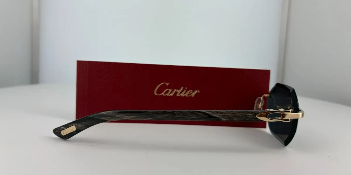 Cartier Buffalo Horn CT0439S 001 7CN