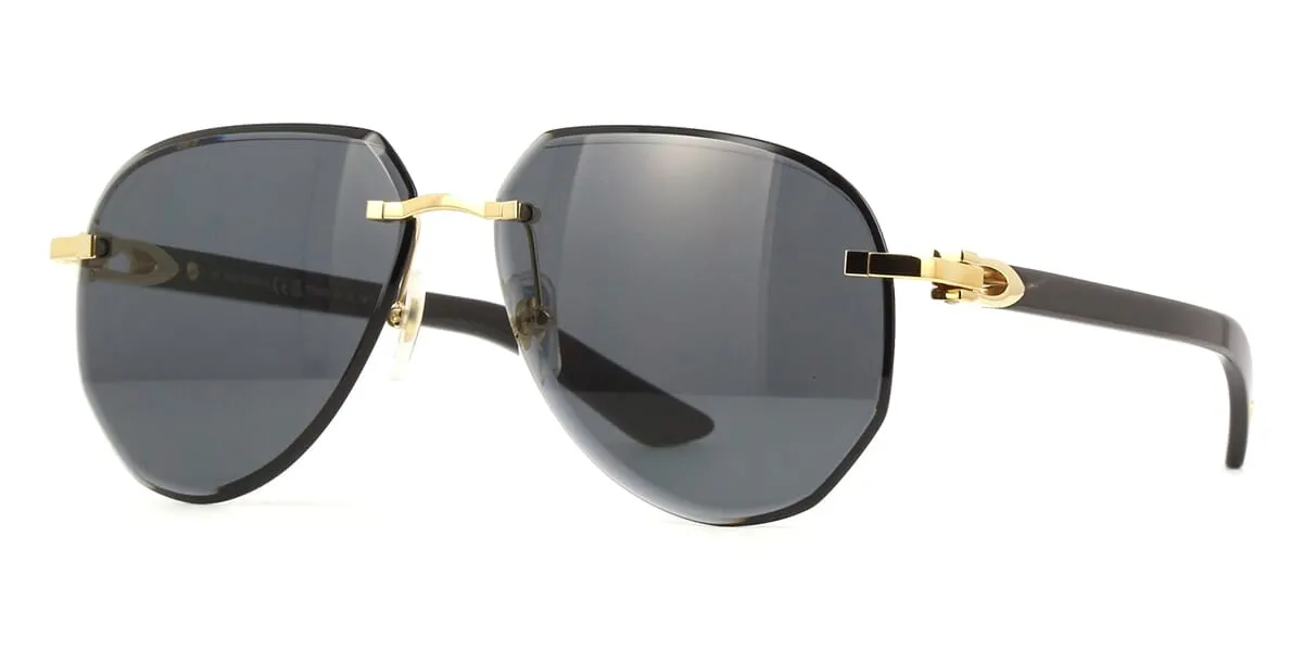 Cartier Buffalo Horn CT0440S 001 3K4