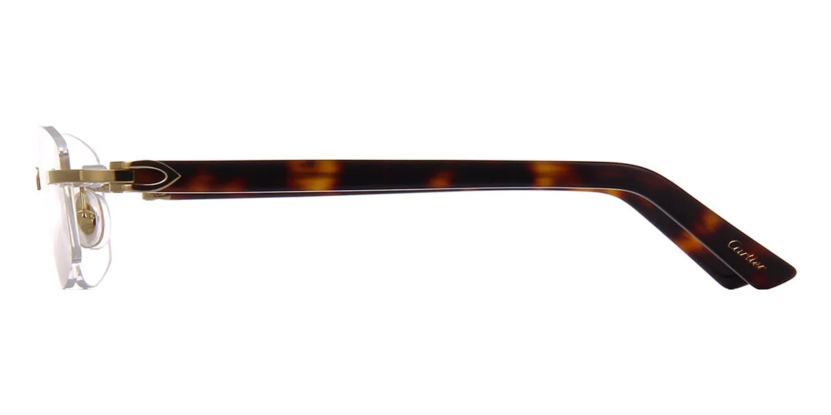 Cartier Canazei CT0048O 004