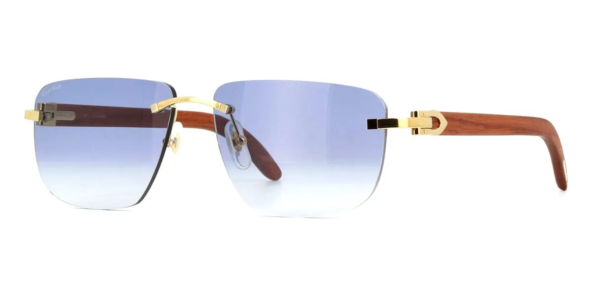 Cartier CT0040RS 001