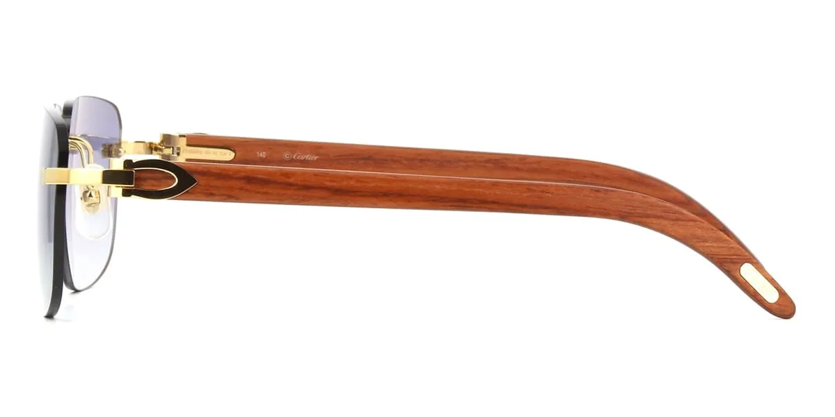 Cartier CT0040RS 001