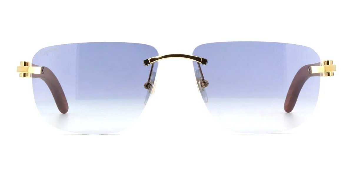 Cartier CT0040RS 001