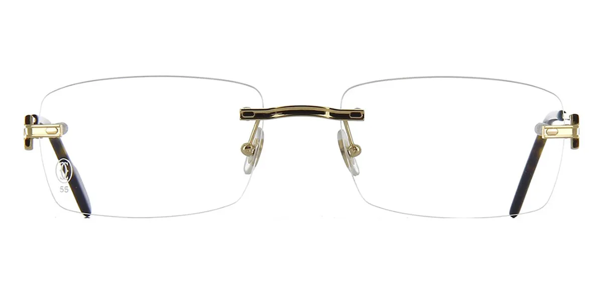 Cartier CT0259O 002
