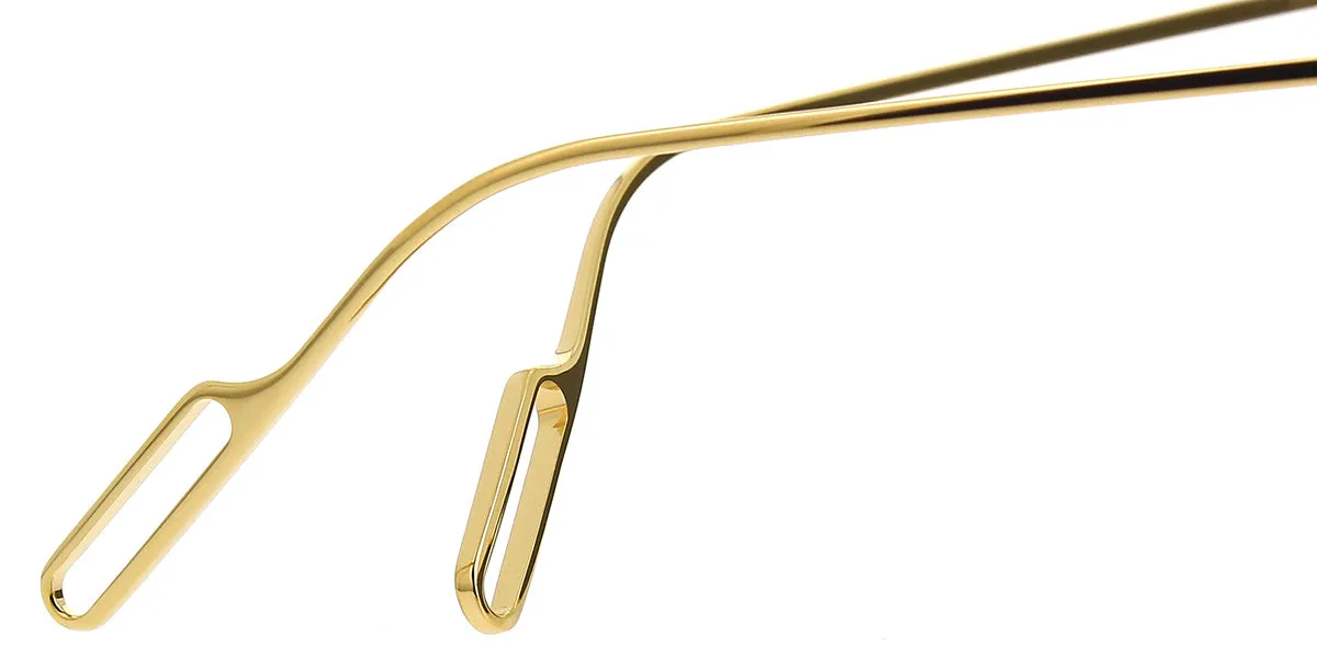 Cartier CT0273S 001