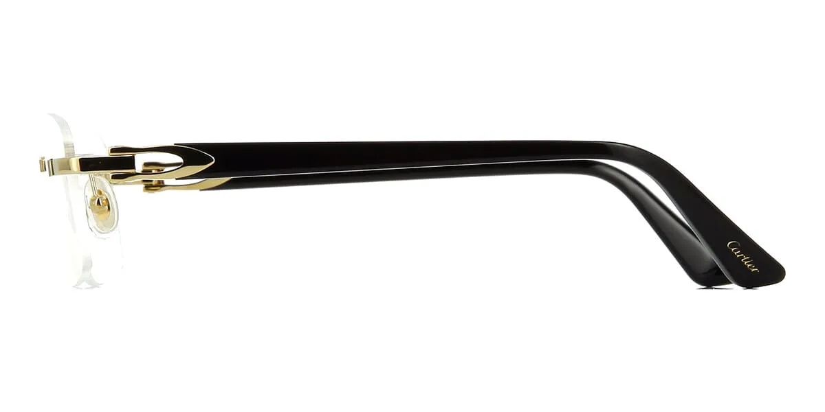 Cartier CT0287O 001