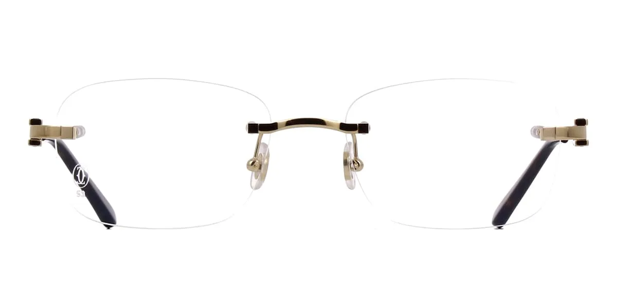Cartier CT0290O 001