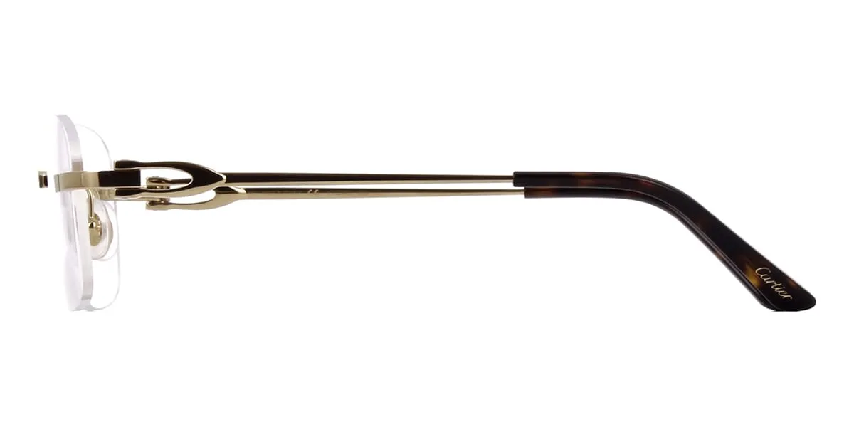Cartier CT0290O 001