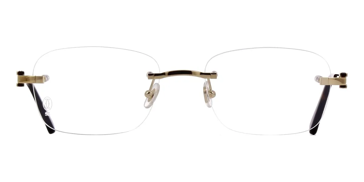 Cartier CT0290O 003