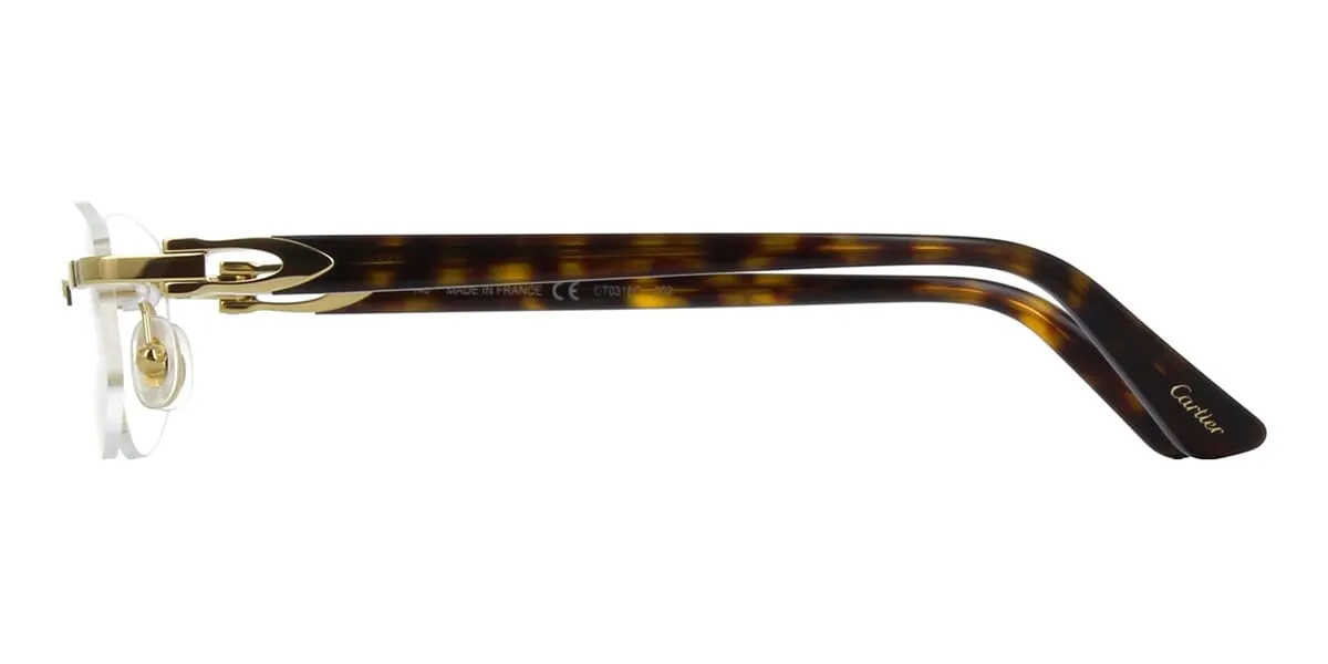 Cartier CT0318O 002