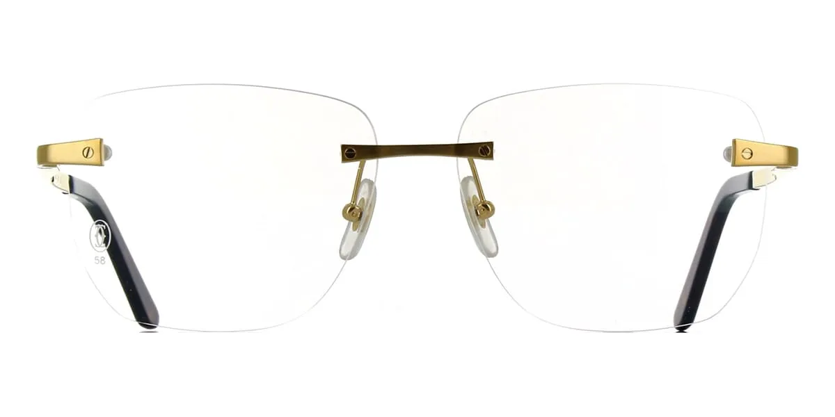 Cartier CT0336O 001