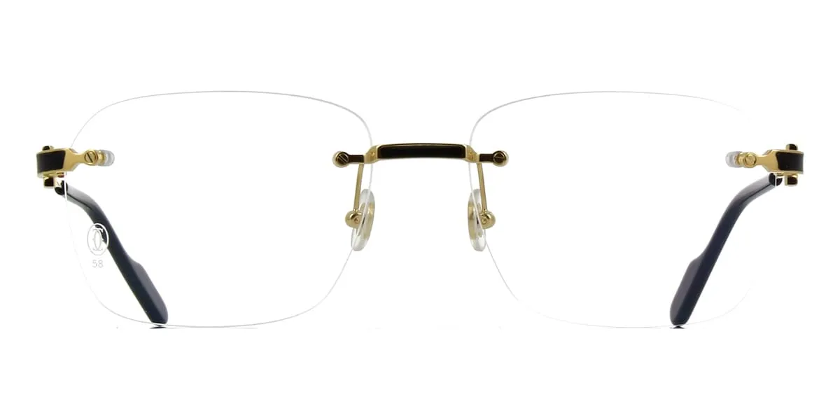 Cartier CT0343O 001