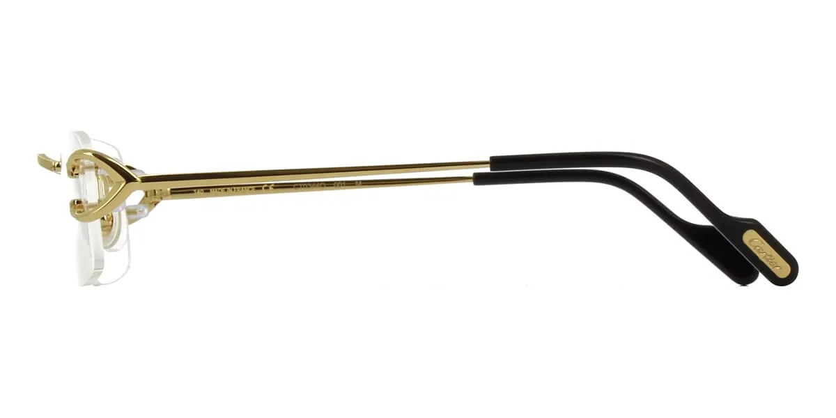 Cartier CT0344O 001
