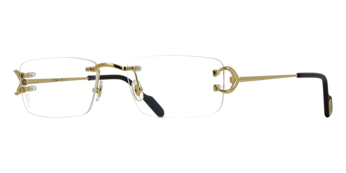 Cartier CT0344O 003