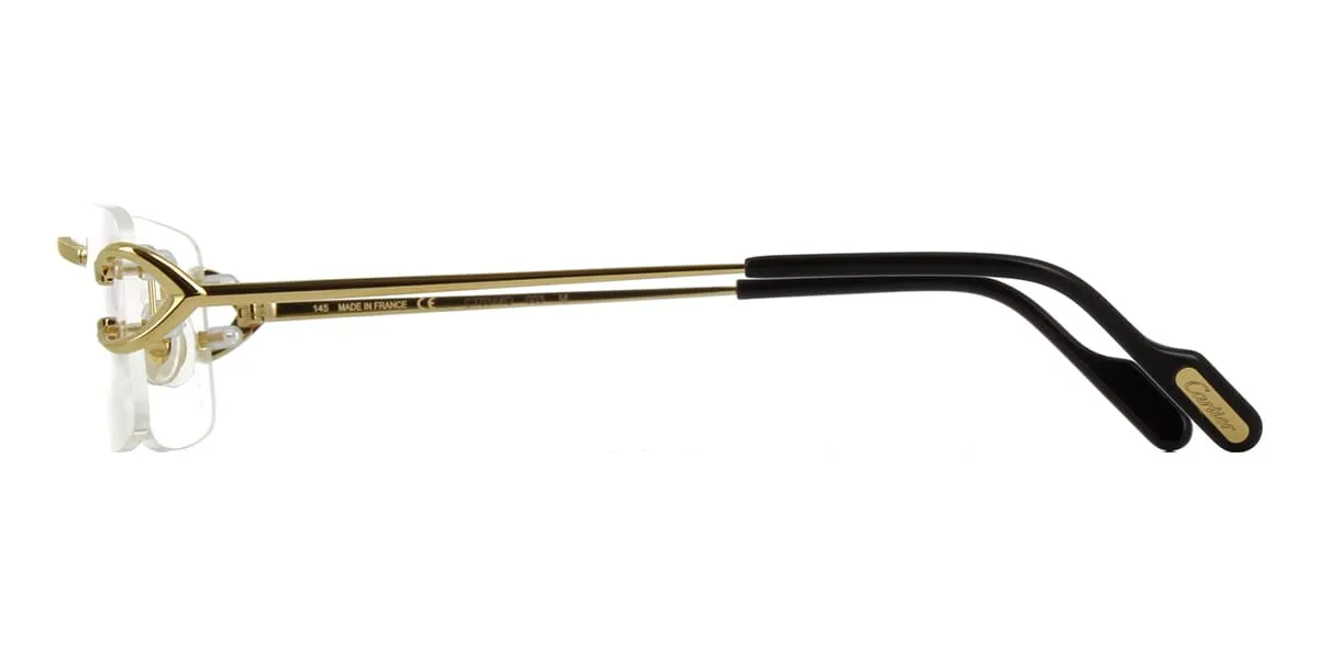 Cartier CT0344O 003