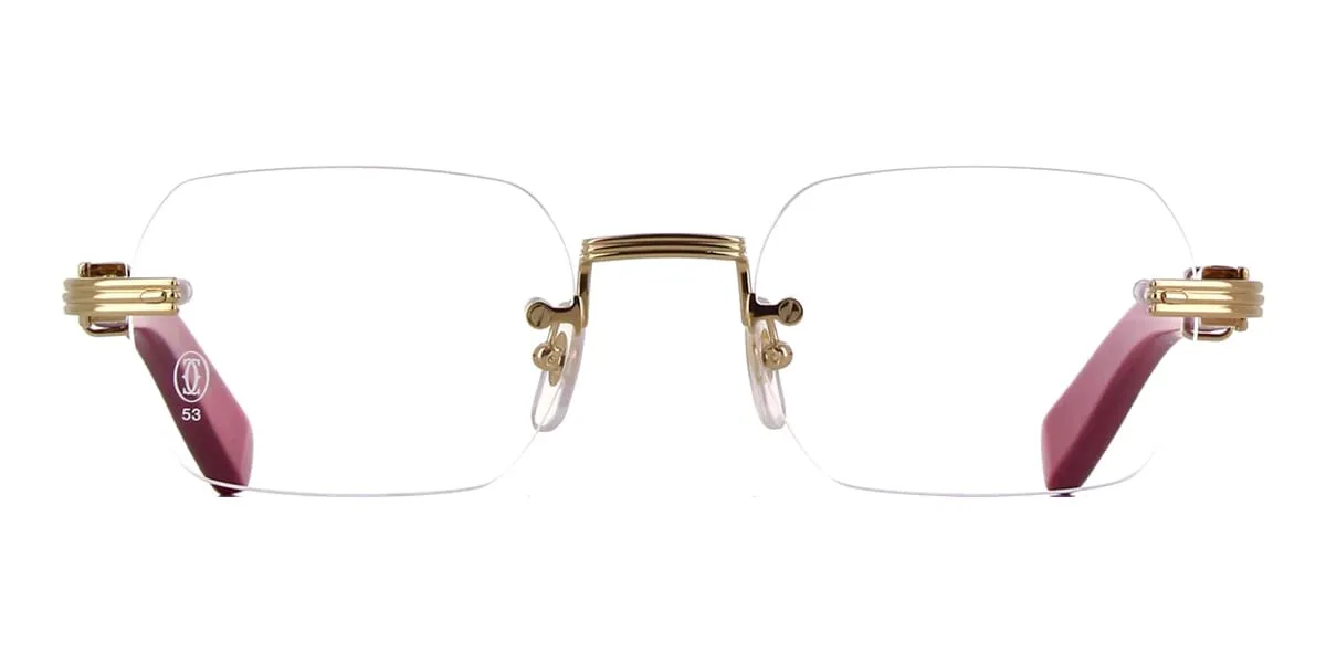 Cartier CT0377O 004