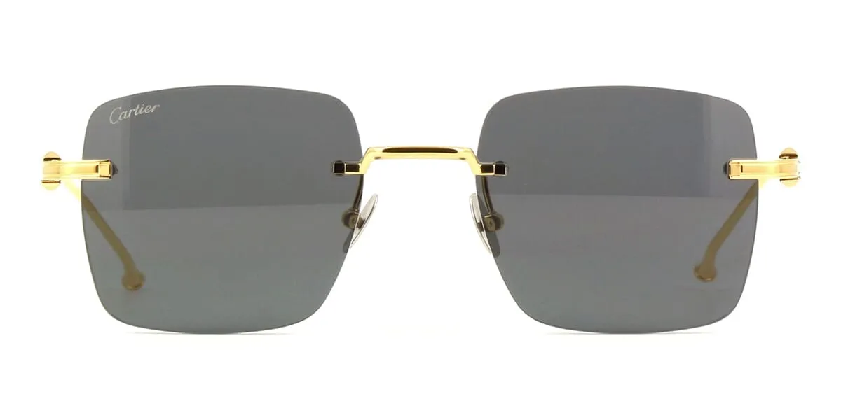 Cartier CT0403S 002