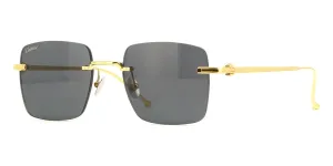 Cartier CT0403S 002
