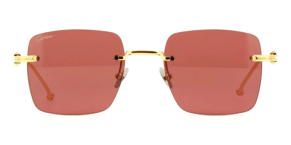 Cartier CT0403S 003