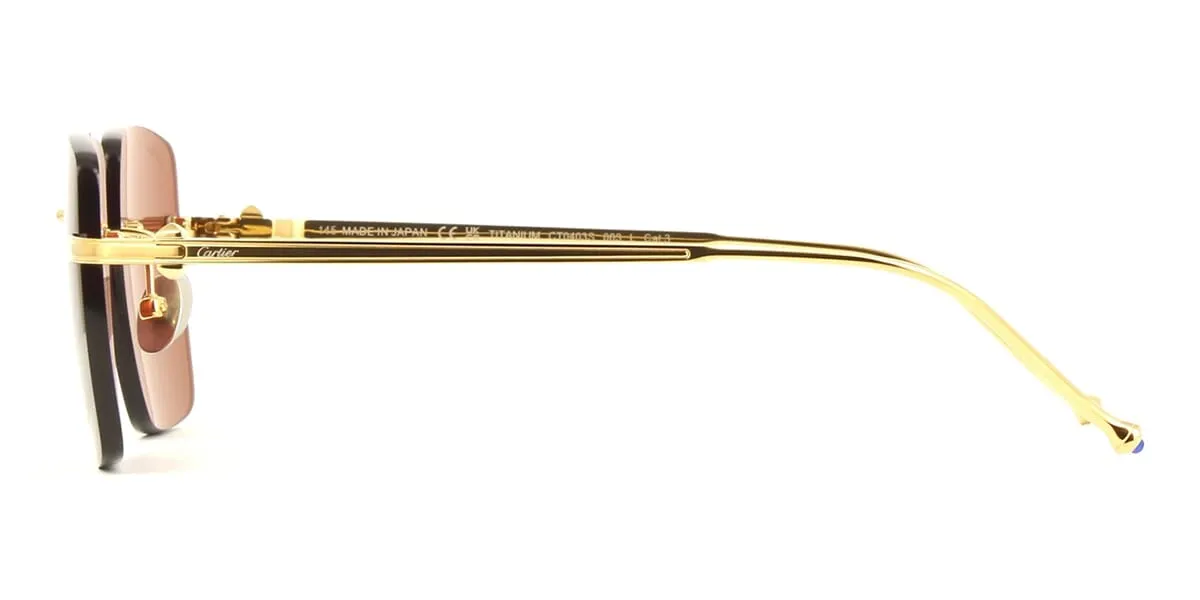 Cartier CT0403S 003