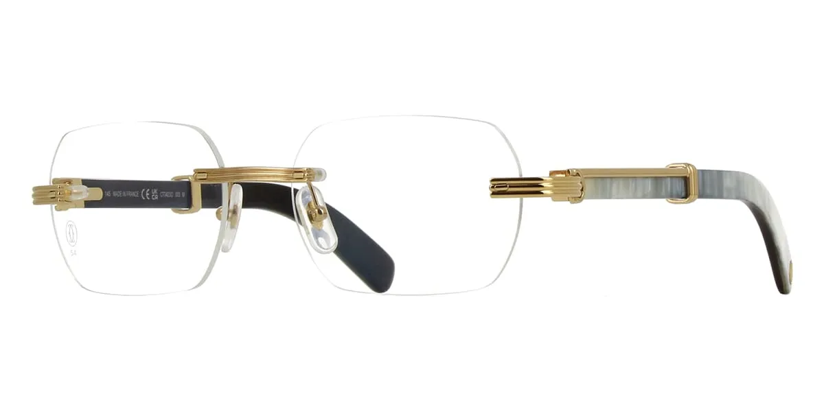 Cartier CT0423O 003