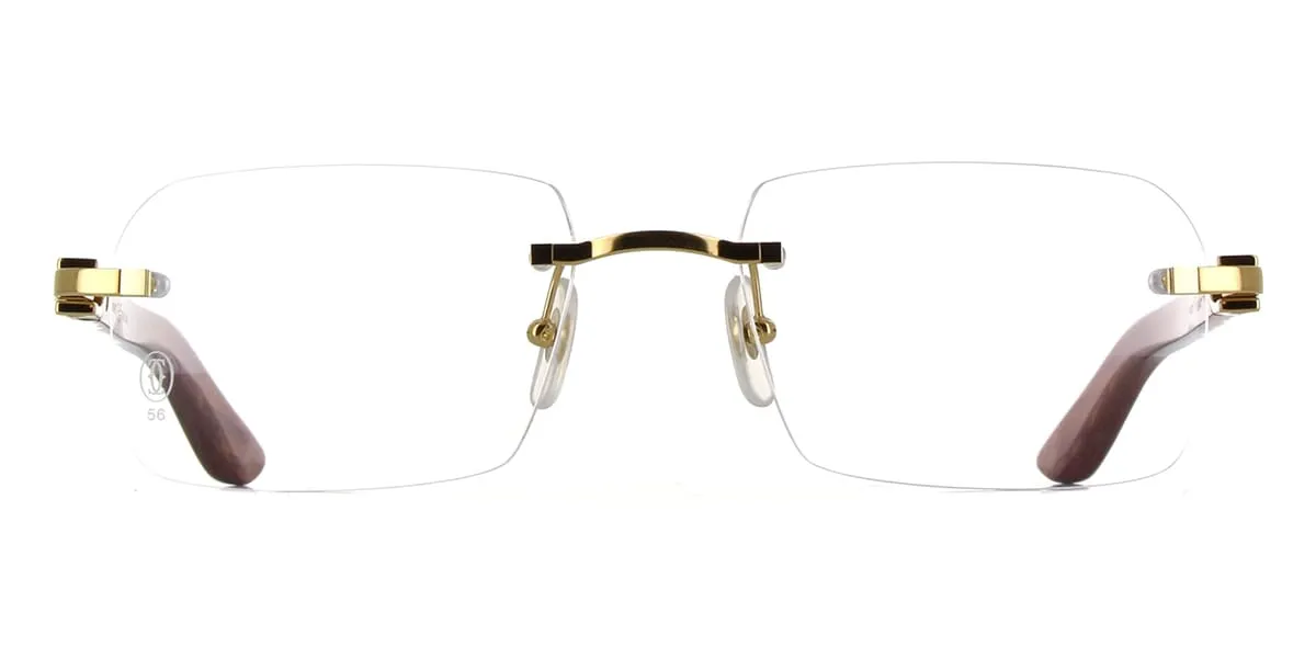 Cartier CT0453O 004