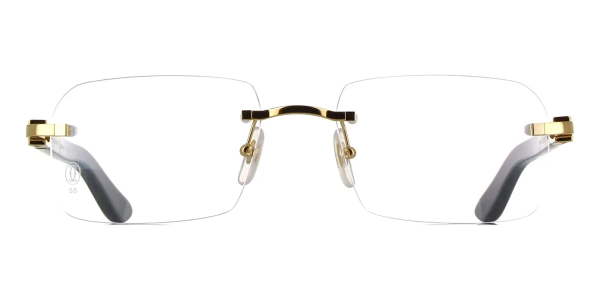 Cartier CT0453O 005