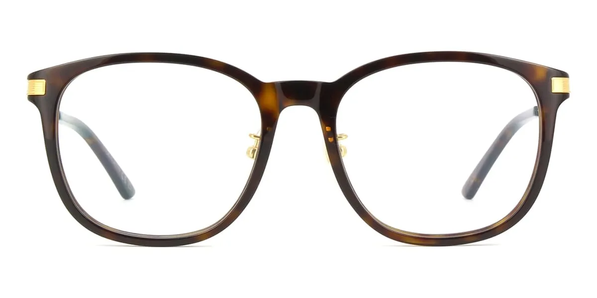 Cartier CT0454O 002