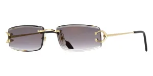 Cartier CT0465S 001