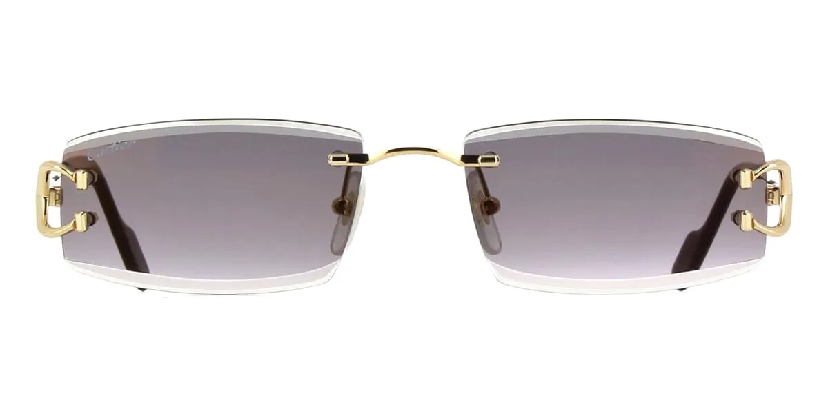Cartier CT0465S 001