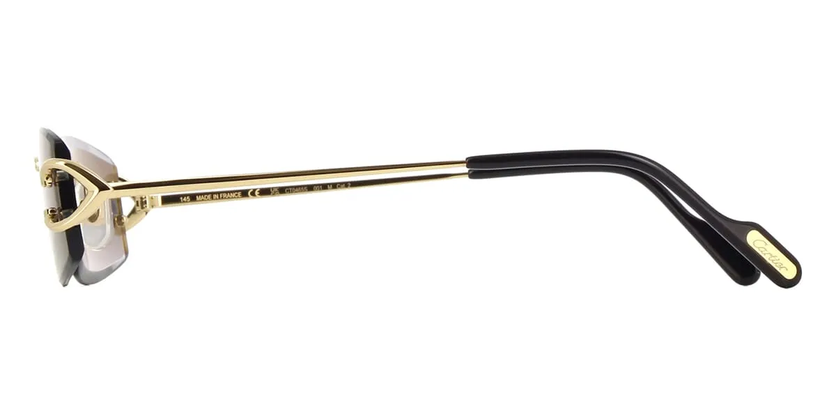 Cartier CT0465S 001