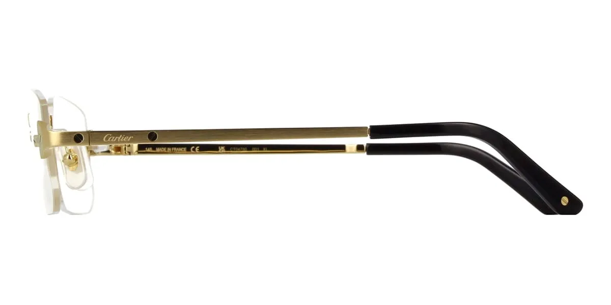 Cartier CT0479O 001
