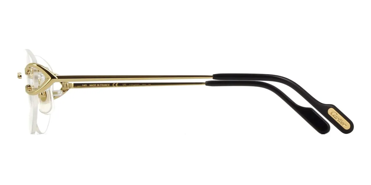 Cartier CT0487O 001