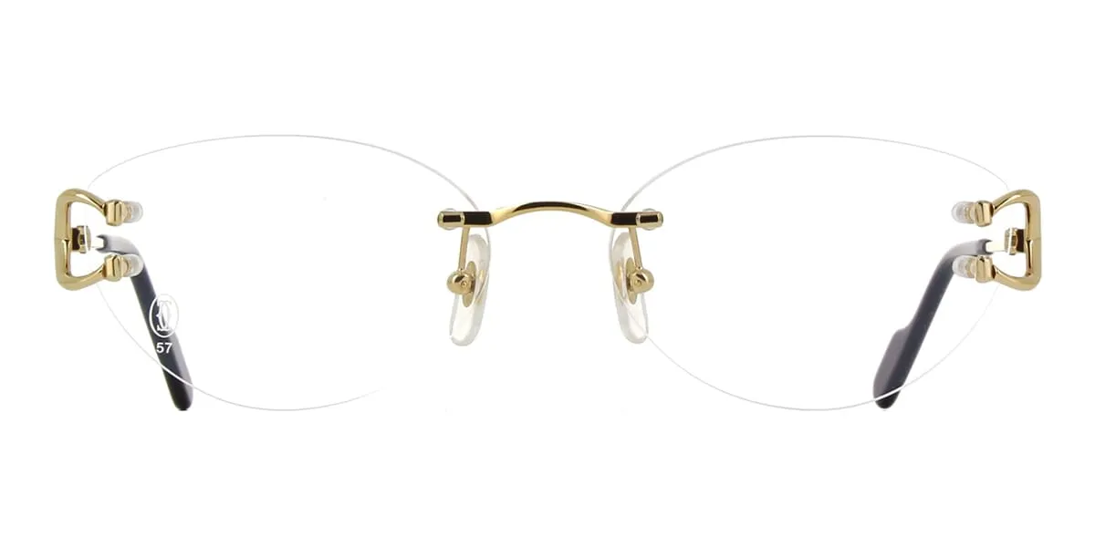 Cartier CT0487O 001