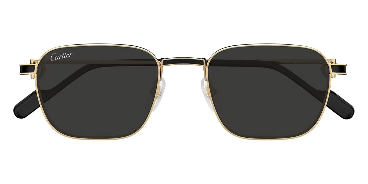 Cartier CT0497S 006