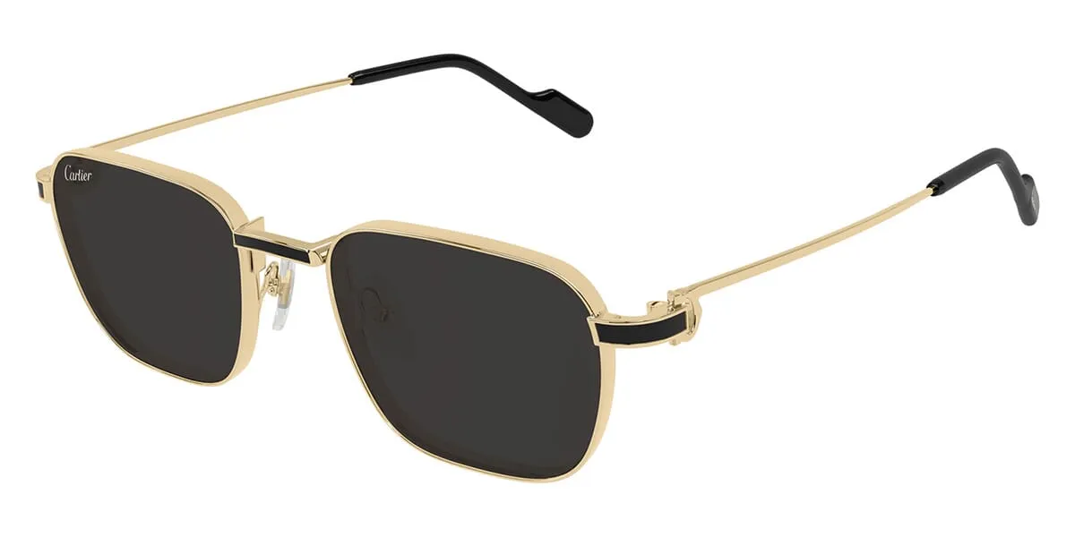 Cartier CT0497S 006