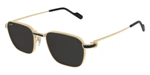 Cartier CT0497S 006
