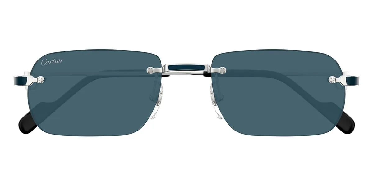 Cartier CT0498S 004