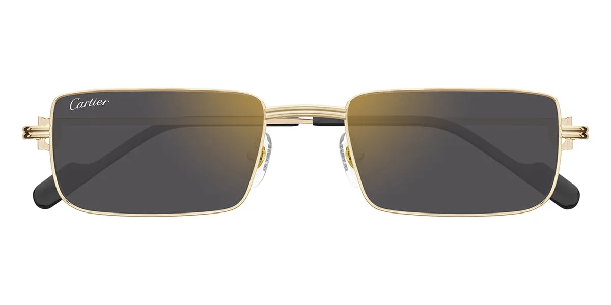 Cartier CT0501S 005