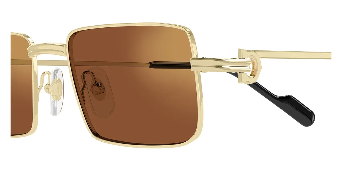 Cartier CT0501S 006