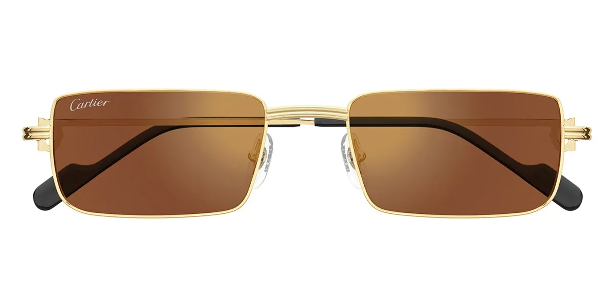 Cartier CT0501S 006